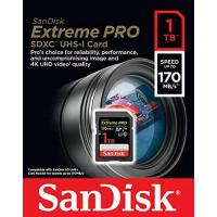 SanDisk 1TB Extreme PRO UHS-I SDXC 170MB/s V30 Hafıza Kartı